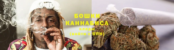 apvp Белокуриха