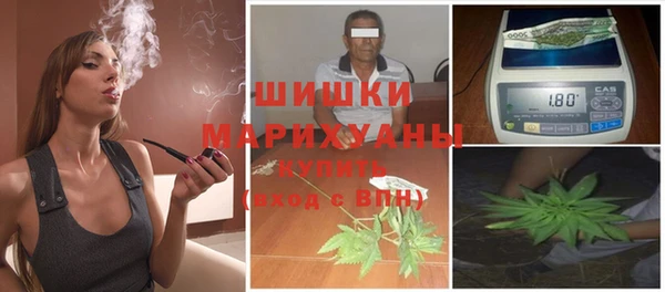 apvp Белокуриха