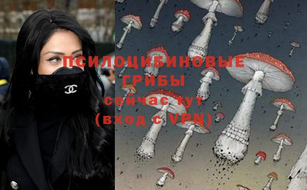 apvp Белокуриха
