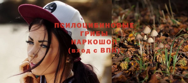 apvp Белокуриха