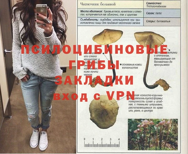 apvp Белокуриха